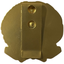 Ascot 006CFS Placca Corpo Forestale