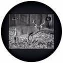 Visore notturno monoculare Levenhuk Atom Digital DNM100
