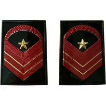 Gradi Metallo a Vite Graduato Aiutante