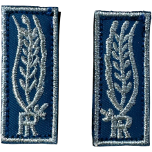 Alamari Polizia Penitenziaria