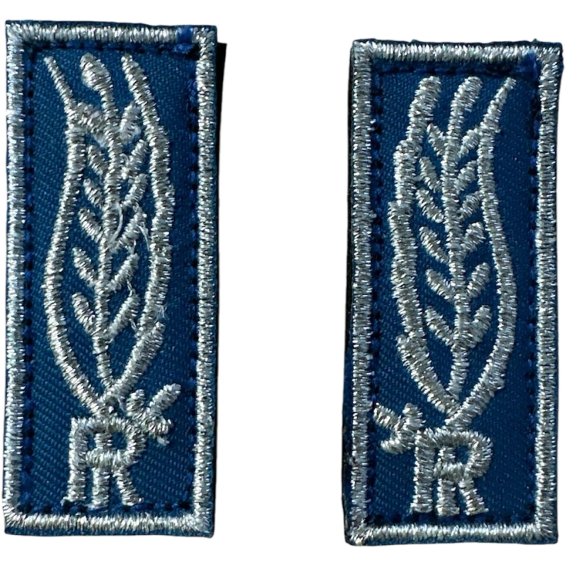 Alamari Polizia Penitenziaria