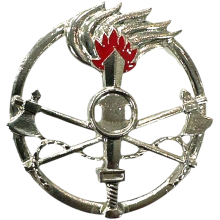 Fregio Basco Genio Guastatori