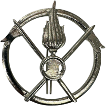 Fregio Basco Lancieri D'Aosta