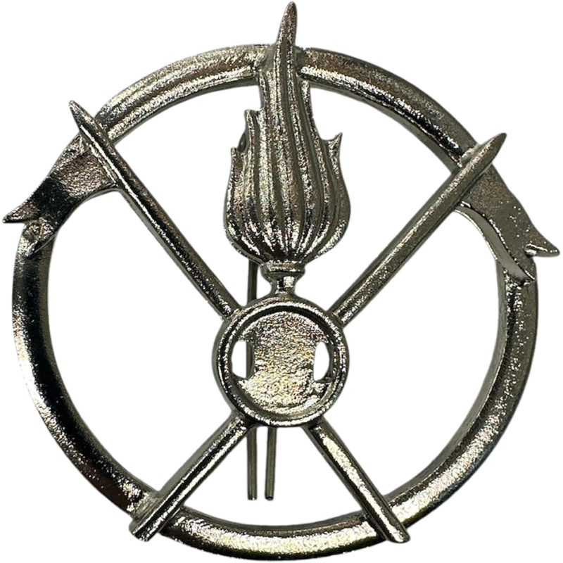 Fregio Basco Lancieri D'Aosta