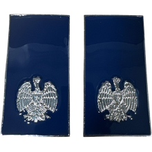 Gradi Metallo Agente Polizia Penitenziaria