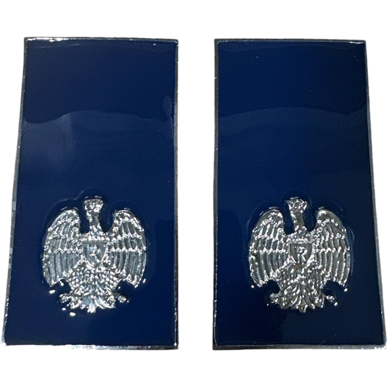 Gradi Metallo Agente Polizia Penitenziaria