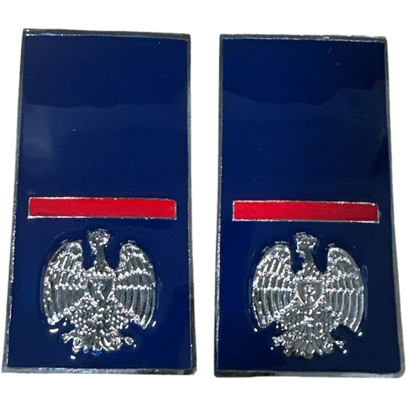 Gradi Metallo Scelto Polizia Penitenziaria