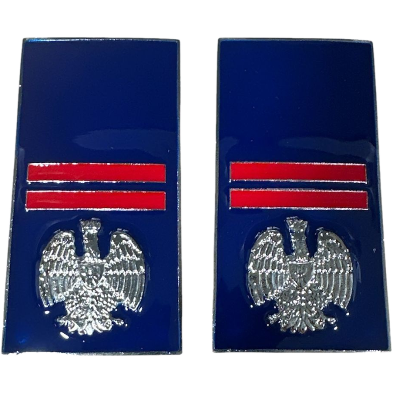 Gradi Metallo Assistente Polizia Penitenziaria