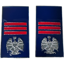 Gradi Metallo Assistente Capo Polizia Penitenziaria