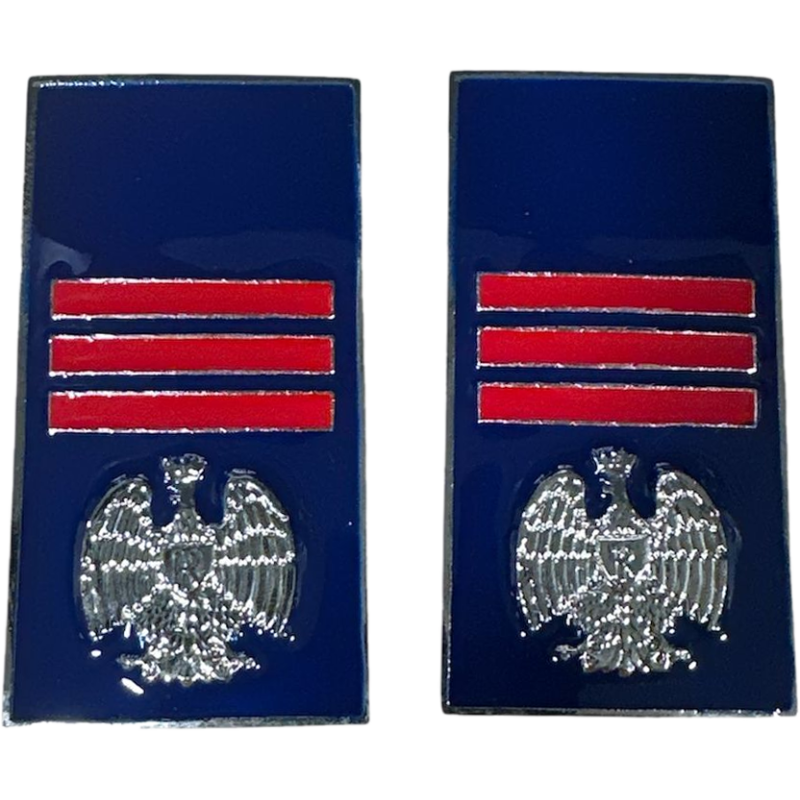 Gradi Metallo Assistente Capo Polizia Penitenziaria