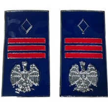 Gradi Metallo Assistente Capo Coord. Polizia Penitenziaria