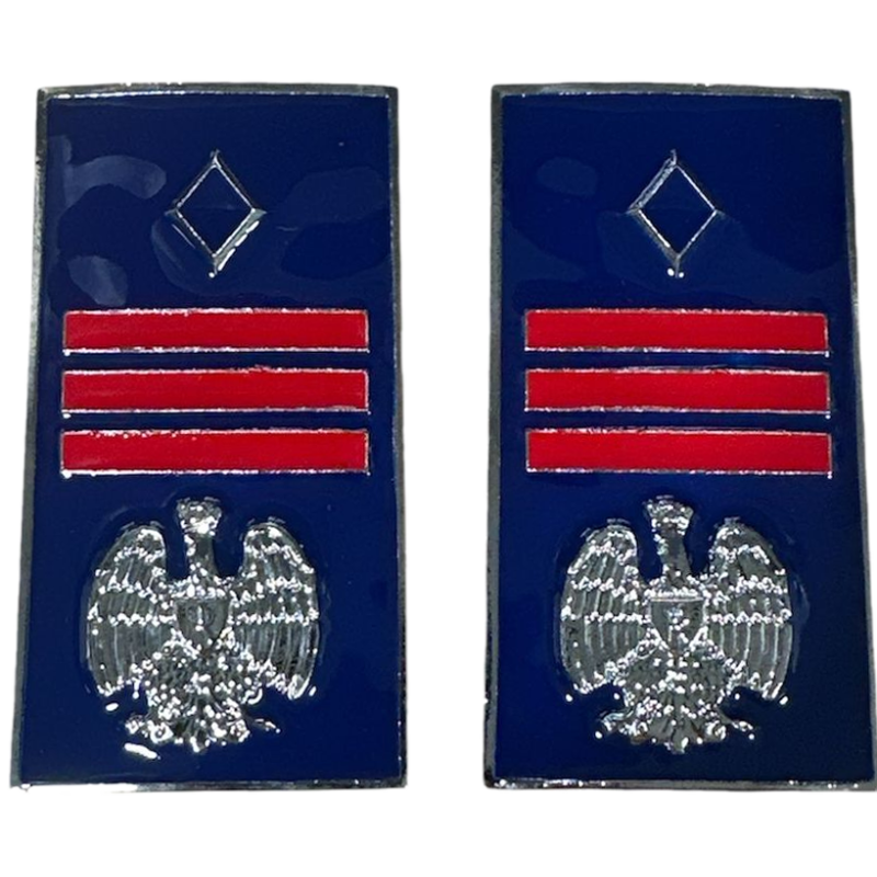 Gradi Metallo Assistente Capo Coord. Polizia Penitenziaria