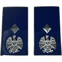 Gradi Metallo Vice Sovrintendente Polizia Penitenziaria