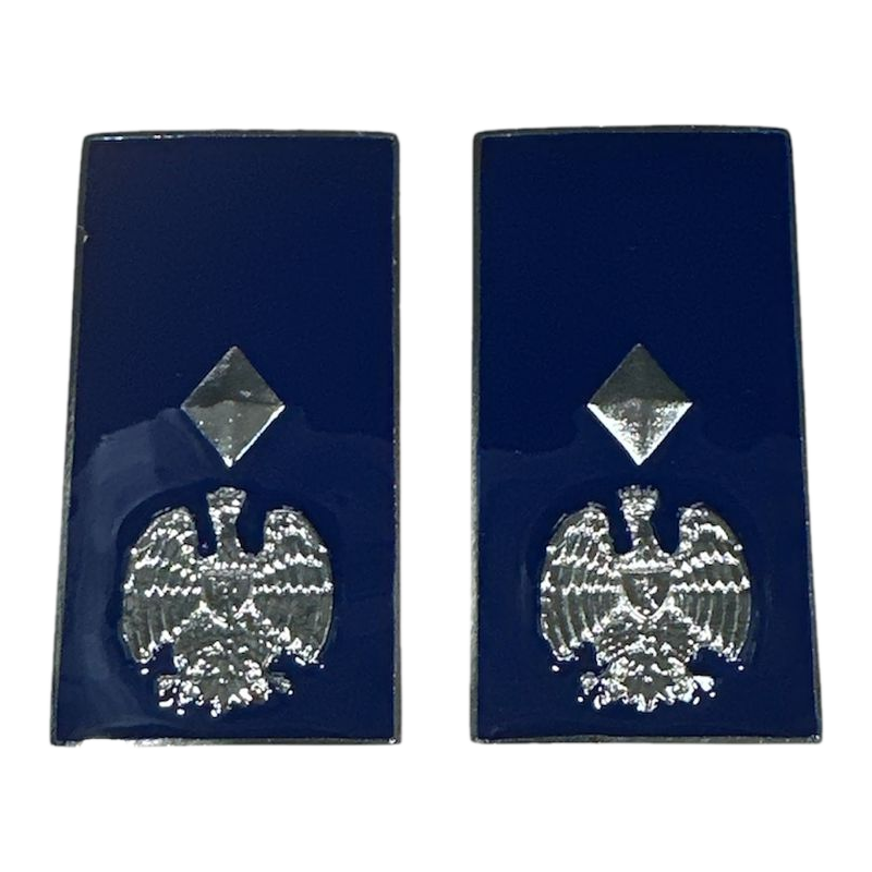 Gradi Metallo Vice Sovrintendente Polizia Penitenziaria