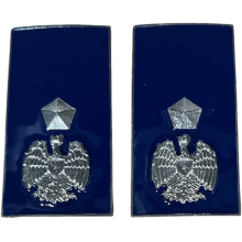 Gradi Metallo Vice Ispettore Polizia Penitenziaria