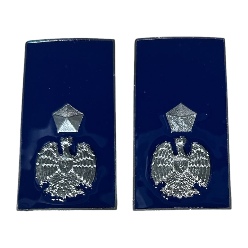 Gradi Metallo Vice Ispettore Polizia Penitenziaria