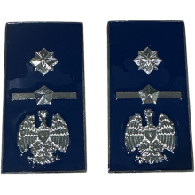 Gradi Metallo Ispettore Superiore Polizia Penitenziaria