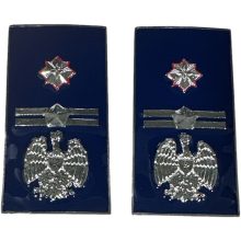 Gradi Metallo Sostituto Commissario Polizia Penitenziaria