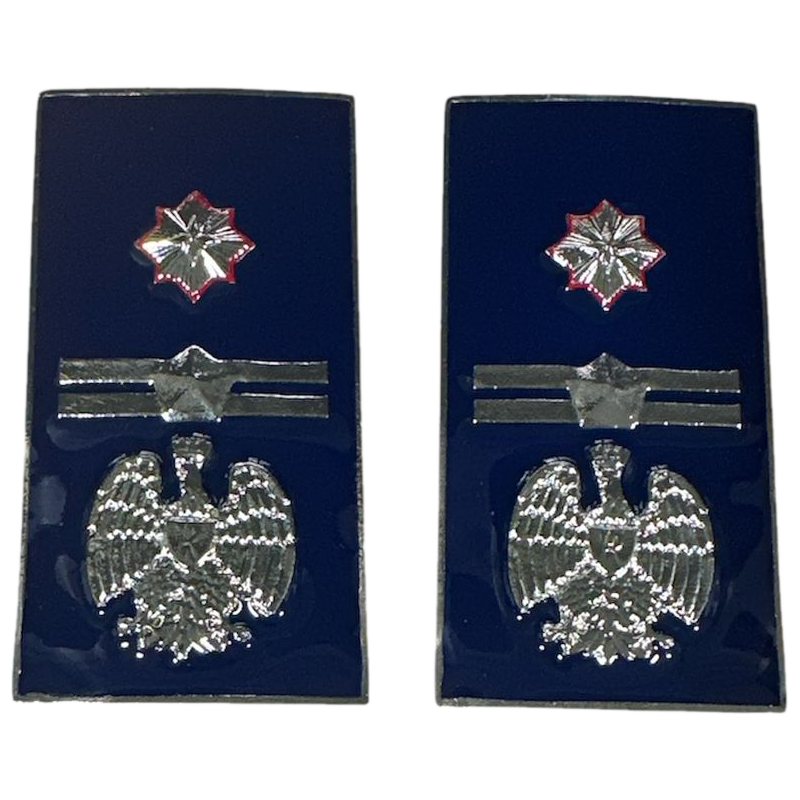 Gradi Metallo Sostituto Commissario Polizia Penitenziaria