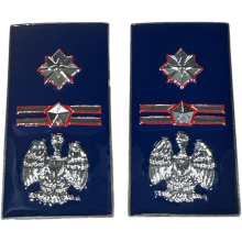 Gradi Metallo Sostituto Comm. Coord. Polizia Penitenziaria