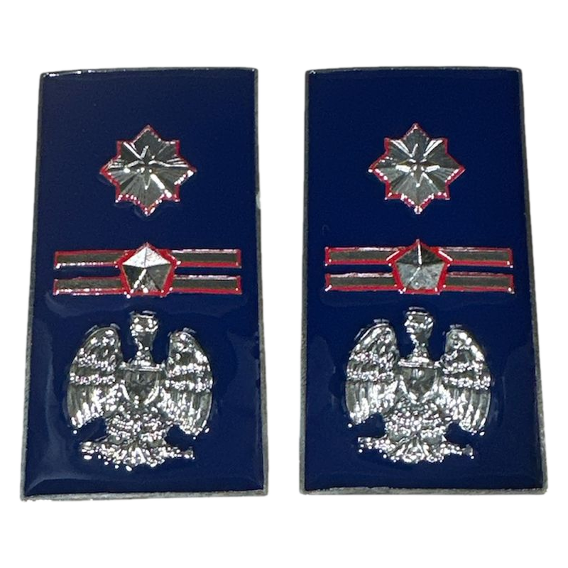 Gradi Metallo Sostituto Comm. Coord. Polizia Penitenziaria