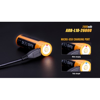 Batteria Ricaricabile 2600mAh 18650 Li-on MICRO Usb FENIX