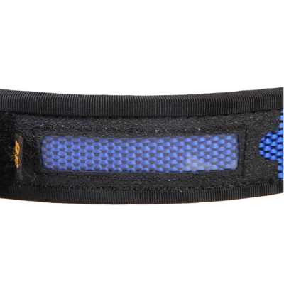 Premium Belt (Blue) Double Alpha