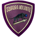 Patch Polizia di Stato Scudetto Plastica Volante con velcro