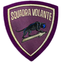 Patch Polizia di Stato Scudetto Plastica Volante con velcro