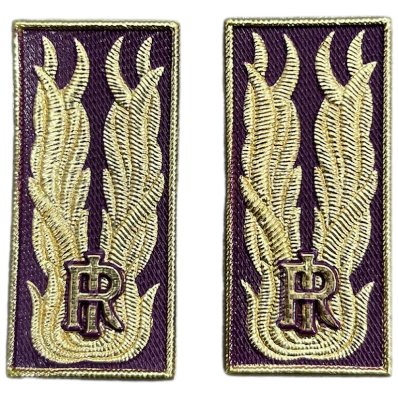 Alamari PS Plastica Polo/Tuta c/velcro