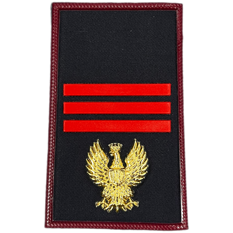 Tubolari PS Assistente Capo