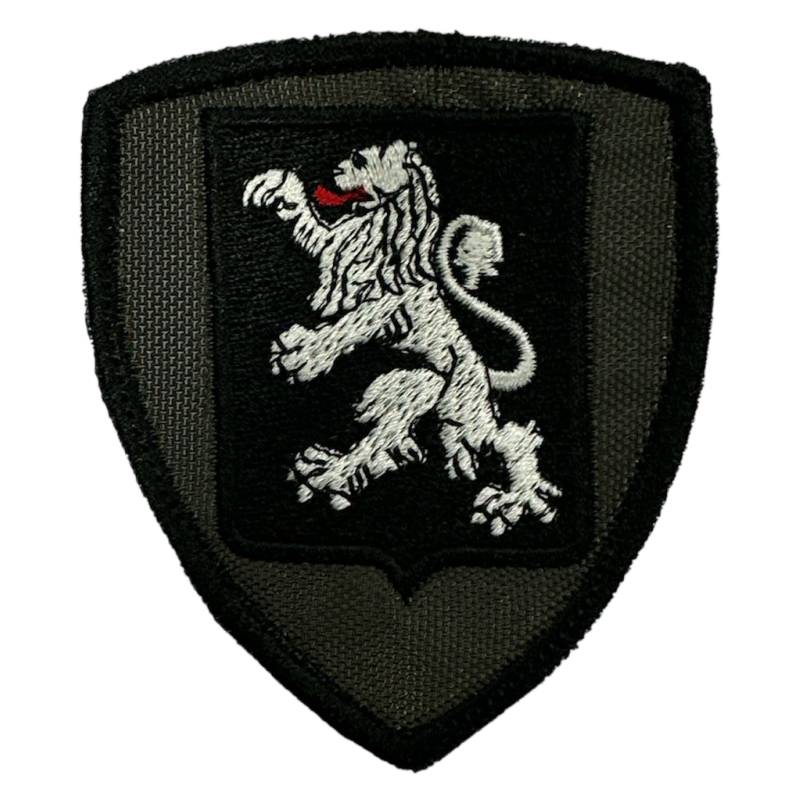 Patch Ricamata Brigata Aosta (Bassa Visibilità)