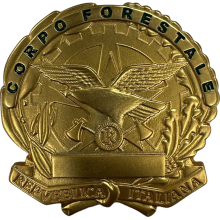 Ascot 006CFS Placca Corpo Forestale